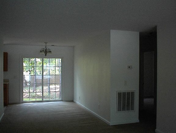 Gallery Photo 2
